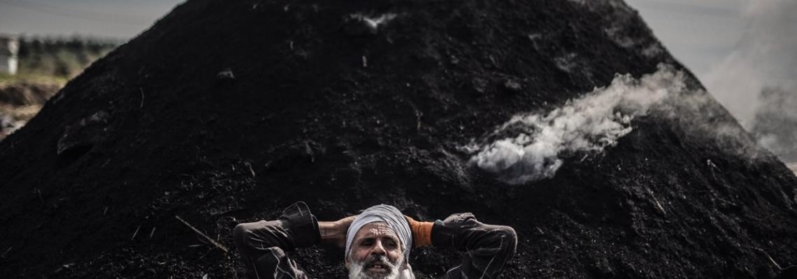 'قصة مصورة ' آخر صانعي الفحم في غزة
