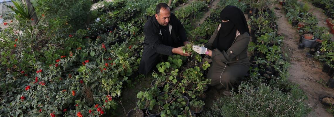 زوجان فلسطينيان يكافحان الواقع الصعب بالعمل في مشتل لبيع الزينة منذ 7 سنوات