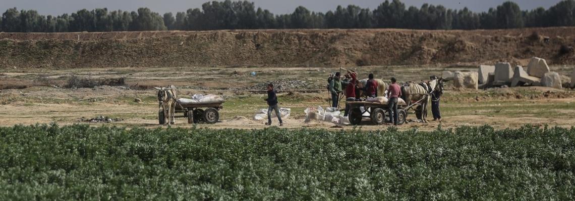 المزارعون ورعاة الأغنام.. رحلة بحث عن الرزق تحت رصاص الاحتلال