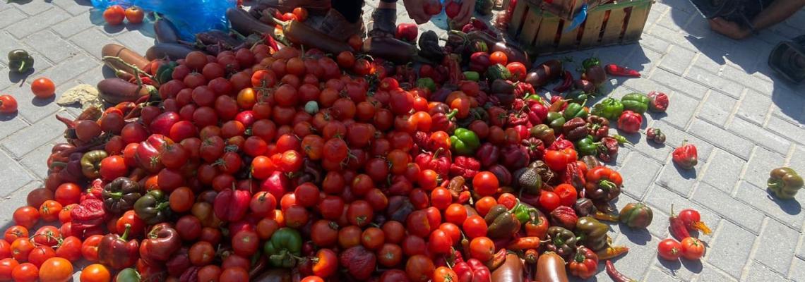 وقفة لمزارعين وتجار ومصدري المحاصيل الزراعية أمام الأمم المتحدة احتجاجاً على شروط الاحتلال أمام التصدير