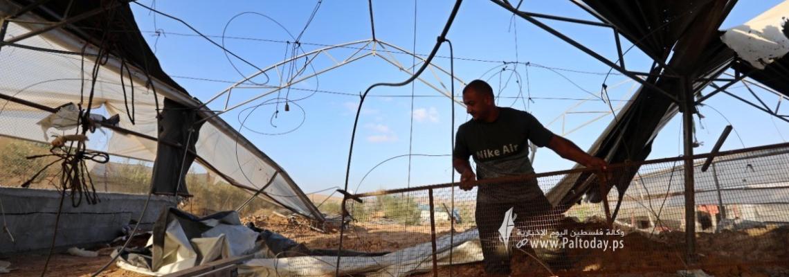 بالصور:الأضرار جراء قصف الطائرات الحربية الإسرائيلية على مزرعة دواجن في مدينة رفح