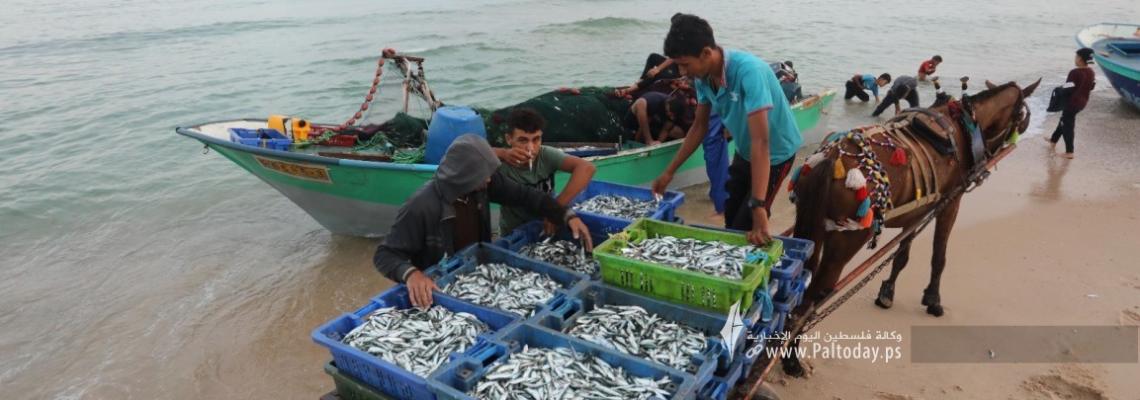 بالصور:صيادون يعملون على شاطئ بحر  قطاع غزة