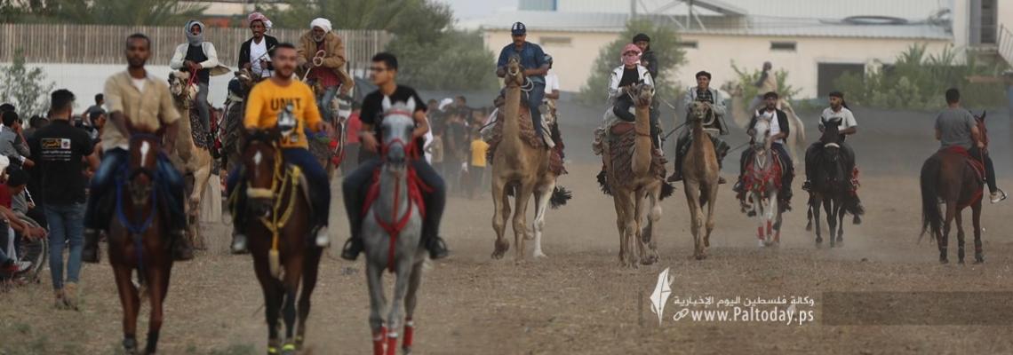 بالصور:هواة ينظمون سباق للخيول والجمال وسط قطاع غزة