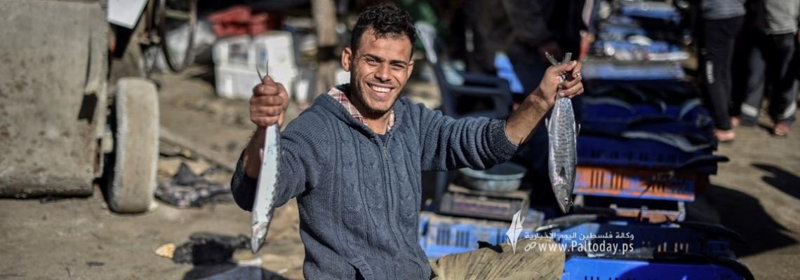 وفرة الأسماك بعد المنخفض تهوي بأسعارها في غزة