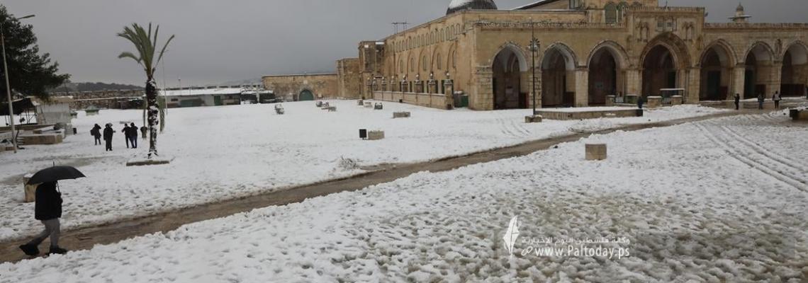 بالصور:القدس - الثلوج تكسو باحات المسجد الأقصى المبارك