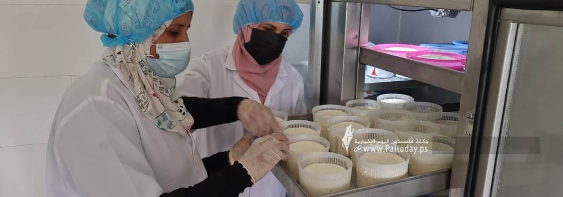 بالصور: سيدات من جنوب قطاع غزة يصنعن الأجبان لتحسين وضعهن المعيشي وإعالة أسرهن