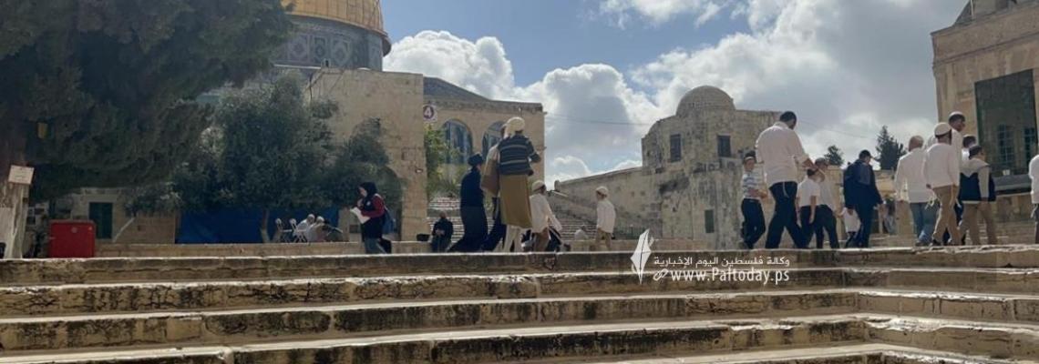 بالصور: القدس - لليوم الرابع: نحو 1180 مستوطنا يقتحمون "الأقصى" والاحتلال يعتقل مواطنا ويصيب 3 آخرين