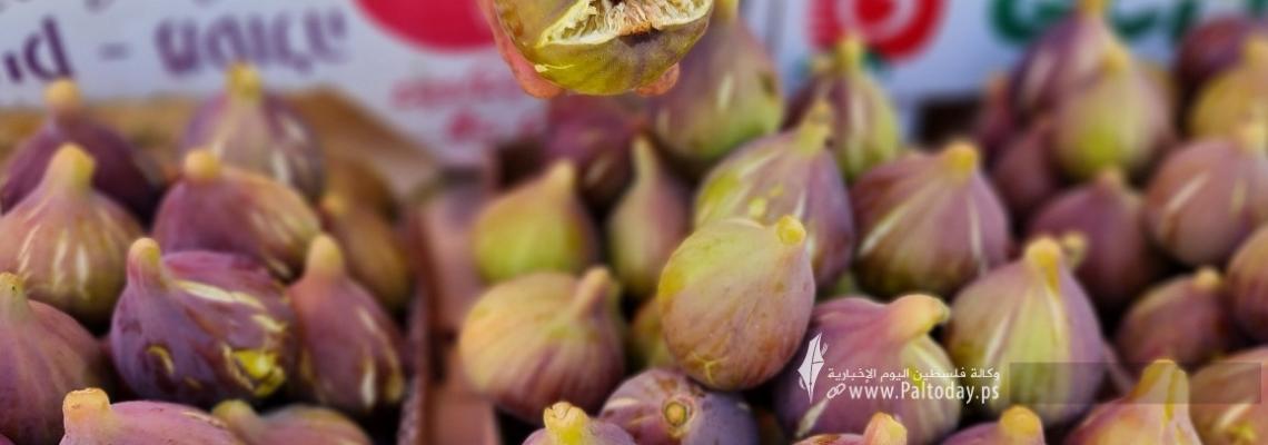بالصور: الفواكه الصيفية الموسمية تغزو البسطات والأسواق الشعبية في قطاع غزة