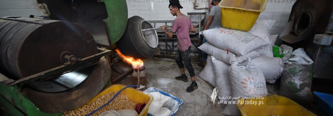 تجهيز المكسرات استعدادًا لعيد الفطر السعيد في قطاع غزة