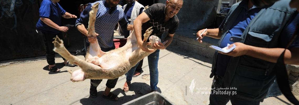 بالصور : استعدادات المواطنين بمدينة غزة  لاستقبال عيد الأضحى المبارك