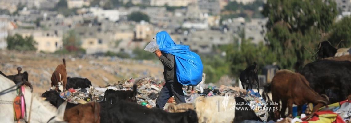 بالصور : النبش في القمامة.. مهنة جديدة لفقراء غزة