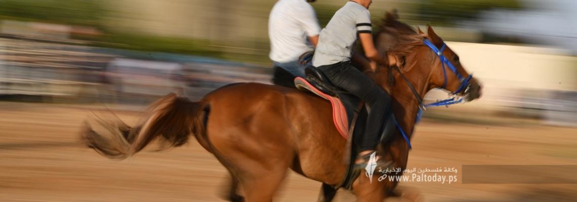 بالصور : "صابية الخيل والهجن".. عادة متوارثة على شفا الاندثار في أفراح قطاع غزة