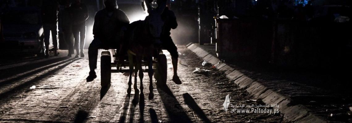 بالصور :العربات التي يجرها الحمير وسيلة نقل جديدة في غزة فرضها الحصار ومنع إدخال الوقود
