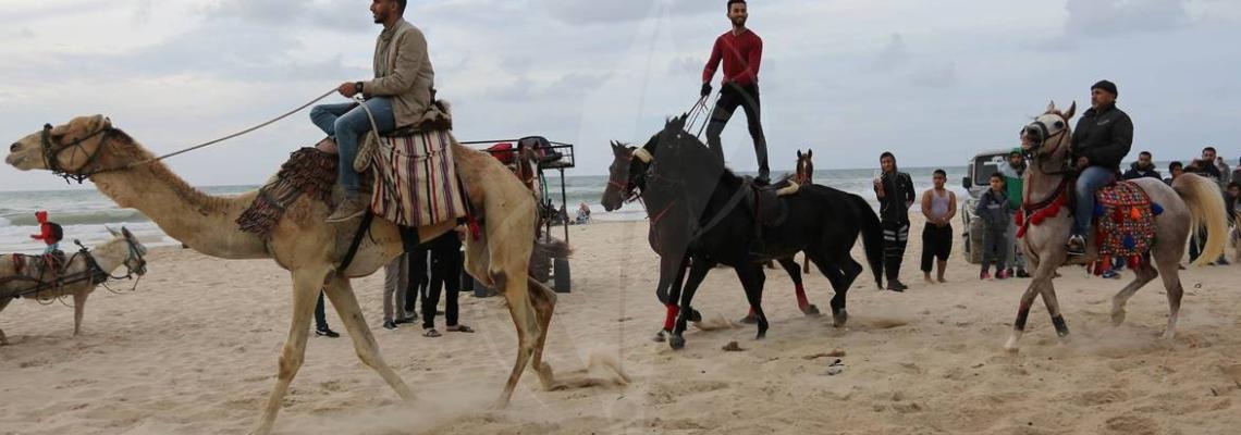 عرض للخيول على شاطئ بحر غزة