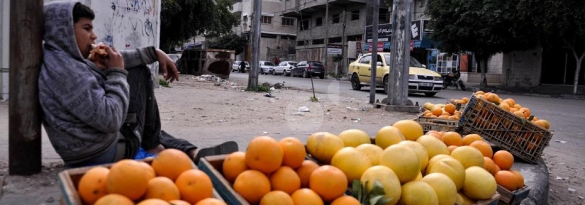 الحمضيات على مفارق الطرق بغزة