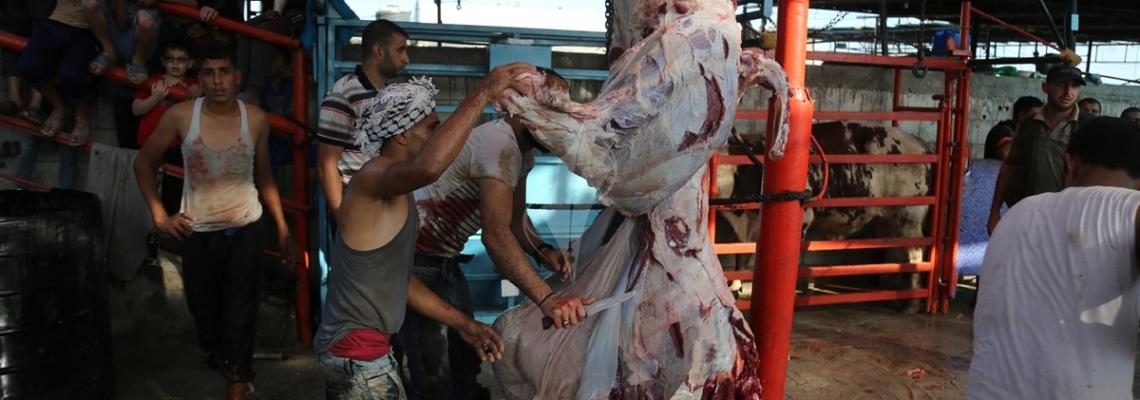 بالصور:"مذابح غزة" تكتظ بالمواطنين لمشاهدة ذبح الأضاحي في أول أيام العيد