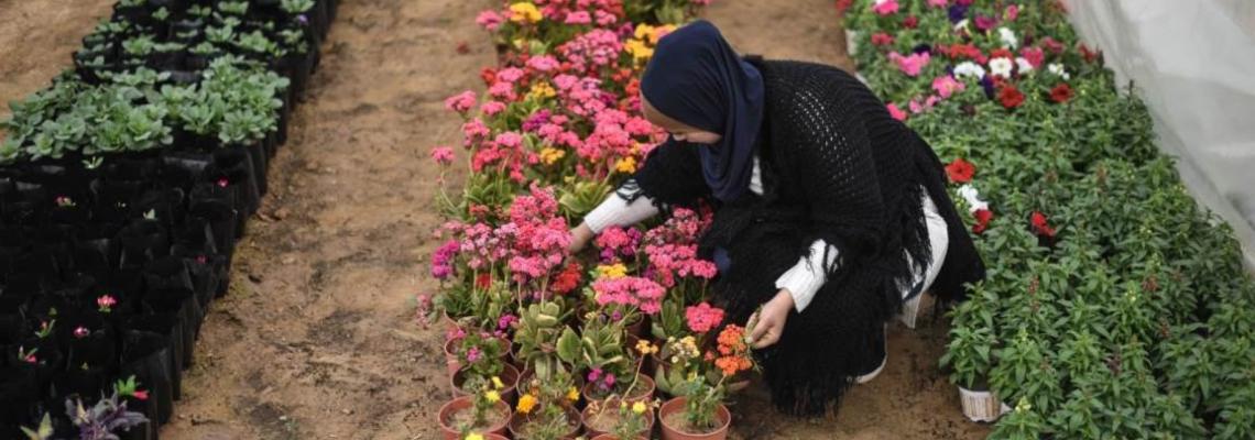 فتاة غزية تفتح مشتلاً للورود في خانيونس جنوب قطاع غزة