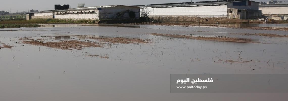 أضرار تلحق بأراضي المزارعين شرق حي الشجاعية جراء فتح الاحتلال سدود مياه الأمطار