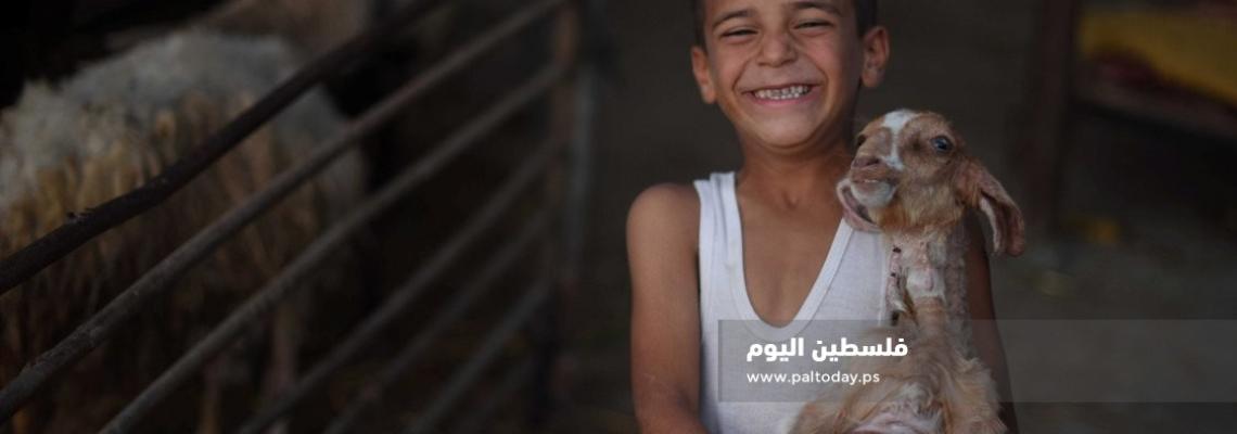 فى مزارع غزة .. فرحة الأطفال بالعيد وسط الحالة الإقتصادية الصعبة 