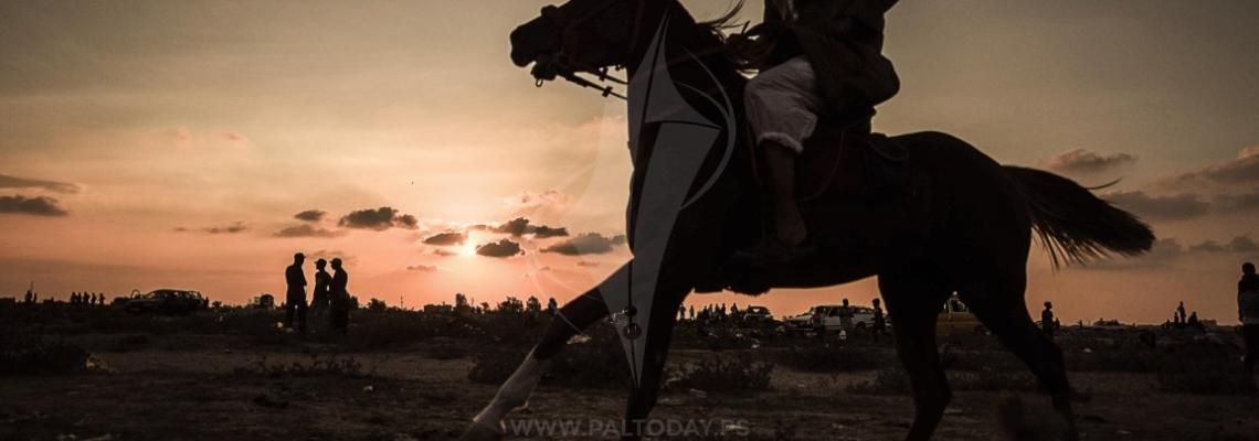سباق للخيول على انقاض مطار غزة الدولى فى مدينة رفح