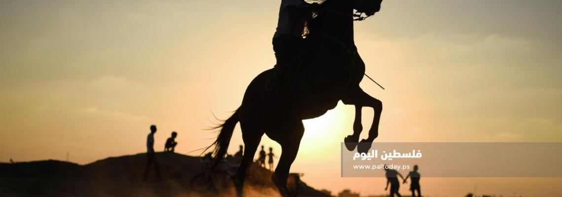 سباق للخيول على انقاض مطارغزة الدولي فى مدينة رفح 