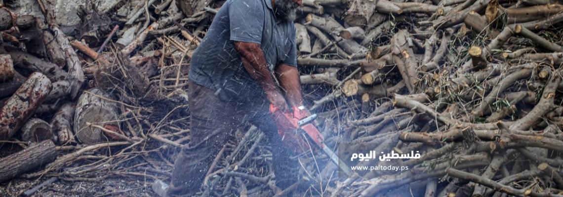 بيع الحطب.. مهنة موسمية ونادرة في غزة