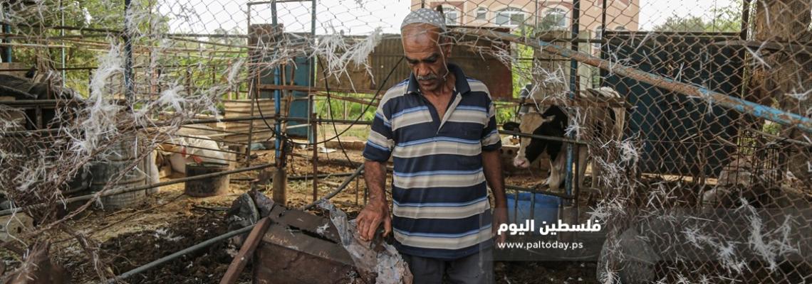 أضرار في مزرعة لتربية المواشي إثر القصف الصهيونى شرق مدينة غزة الليلة الماضية