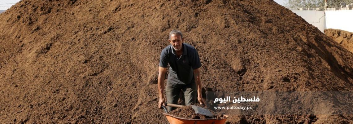 "جفت الزيتون".. مصدر رزق ووقود للتدفئة وأفران الطابون