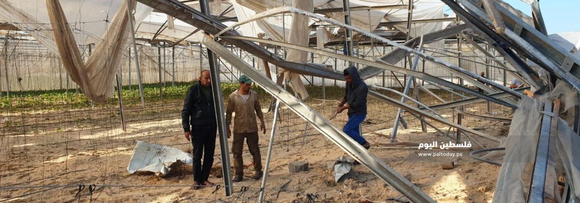 أضرار لحقت بمزارع المواطنين جراء القصف "الاسرائيلي" ضد غزة