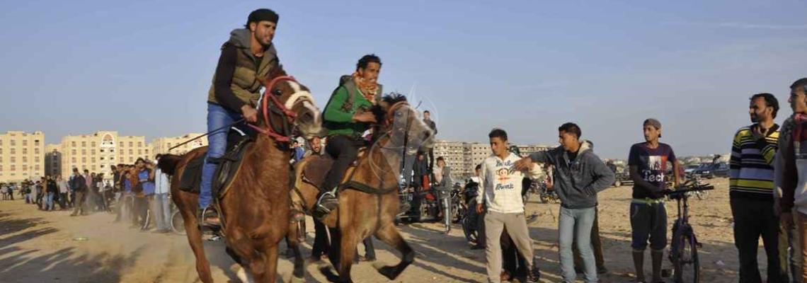 مجموعات شبابية تمارس رياضة ركوب الخيل غرب خانيونس