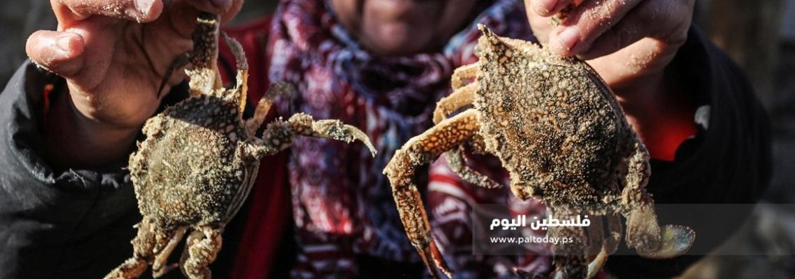 غزة: امرأة فلسطينية تجاهد معاناة الحياة ببيع الأسماك في الأسواق