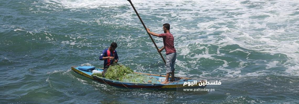 بحر غزة :رزق للغلابا ومتعة للناظرين