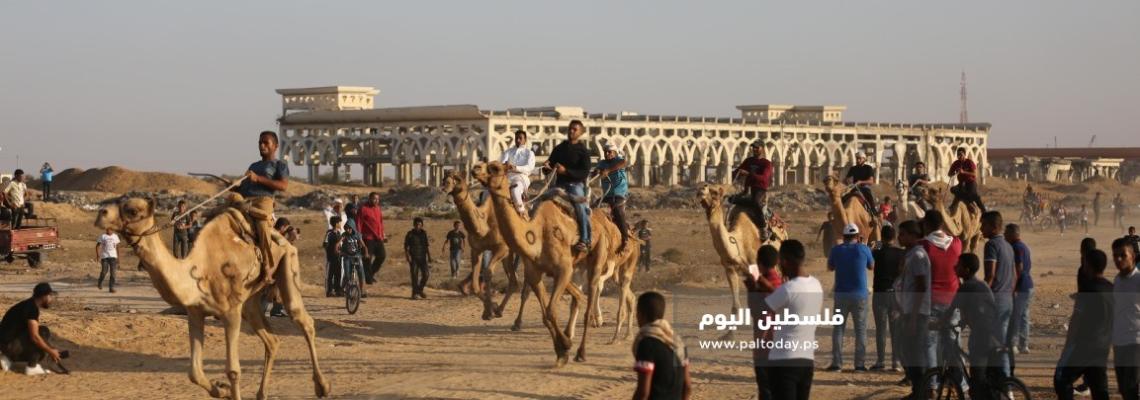 رفح : منافسون فلسطينيون يشاركون في سباق الهجن على أرض مطارغزة  الدولي