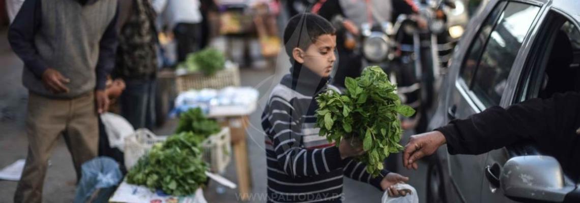 أطفال غزة يستغلون شهر رمضان لبيع الجرجير ومساعدة أسرهم