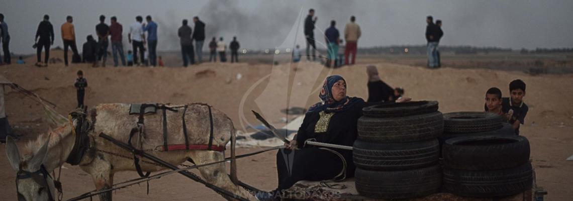 السيدة فلسطينية جهاد أبو محسن من غزة تقوم بجمع إطارات السيارات استعداداً ليوم الزحف غداً نحو الأراضي الفلسطينية