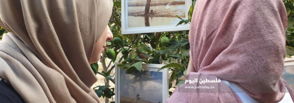 فن من نوع آخر... شابة من غزة تعلق معرضها الفني على أشجار منزلها