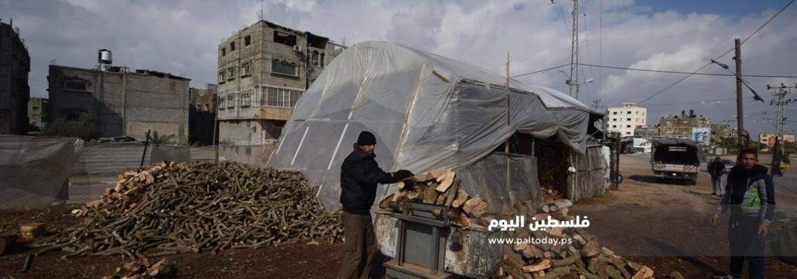 " بيع الحطب " مهنة موسمية نادرة فى غزة