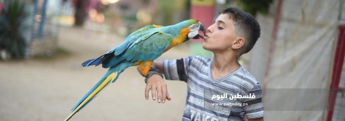 جولة داخل حديقة الحيوان الوحيدة فى رفح 