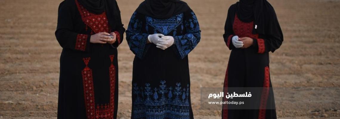 ثلاث خريجات من خزاعة يقمن بإستئجار قطعة أرض وزراعتها لسد رمق عائلاتهن .