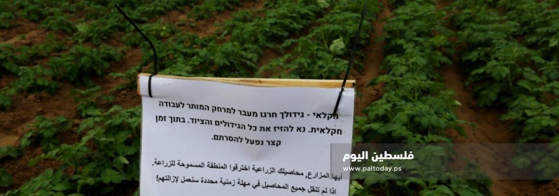 للمرة الأولى جيش الاحتلال يهدد بإزالة محاصيل على حدود شرق خانيونس