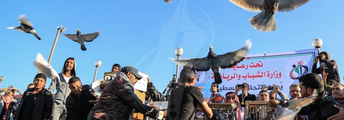  سباق للحمام الزاجل في ميناء غزة