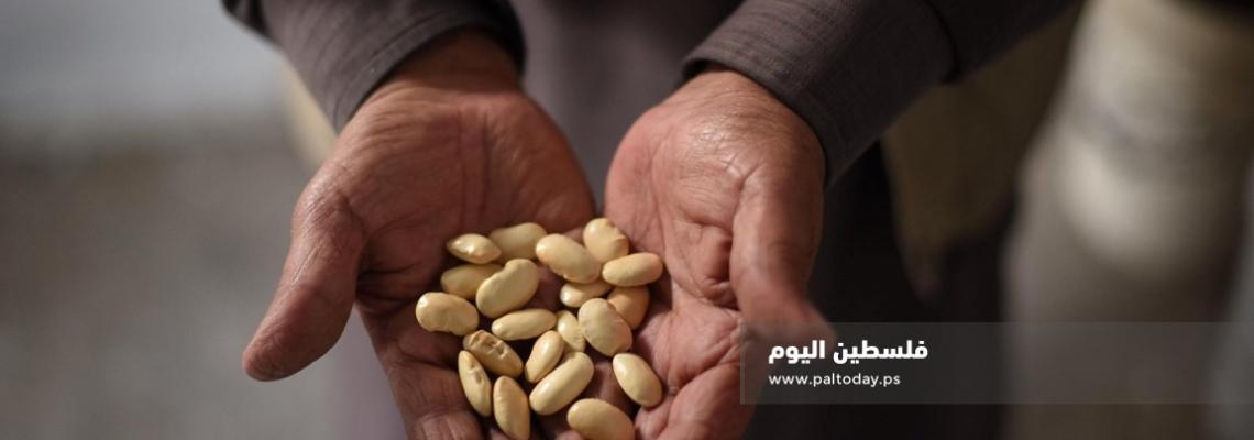 مزارع غزي ينشئ بنكا للبذور البلدية لاستدامة الزراعة 