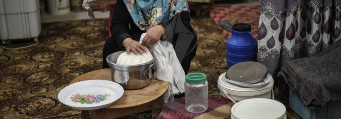 صناعة الجبنة البلدية وبيعها في الأسواق مصدر دخل لعائلات غزية