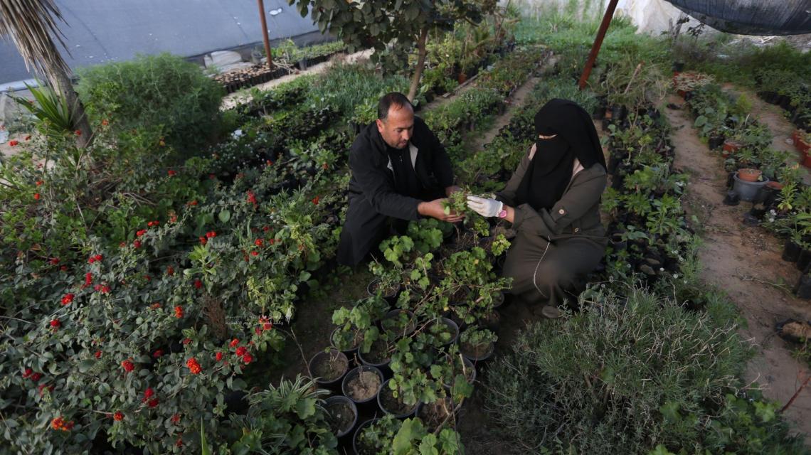 زوجان فلسطينيان يكافحان الواقع الصعب بالعمل في مشتل لبيع الزينة منذ 7 سنوات
