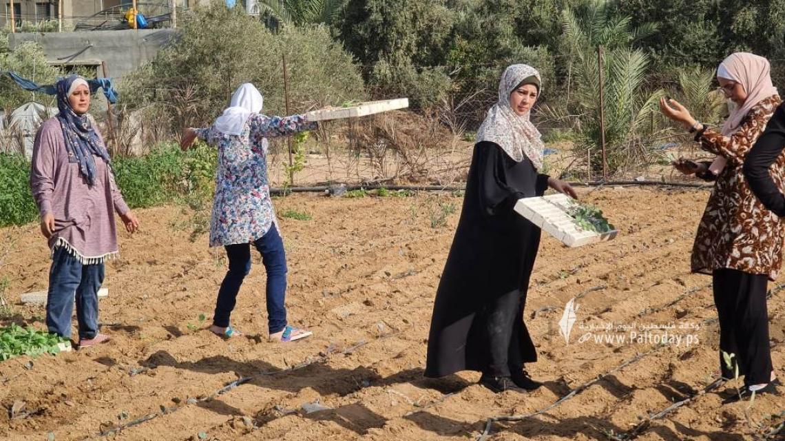بالصور:فتيات من غزة يُقمن مشروع زراعي تحدياً للبطالة