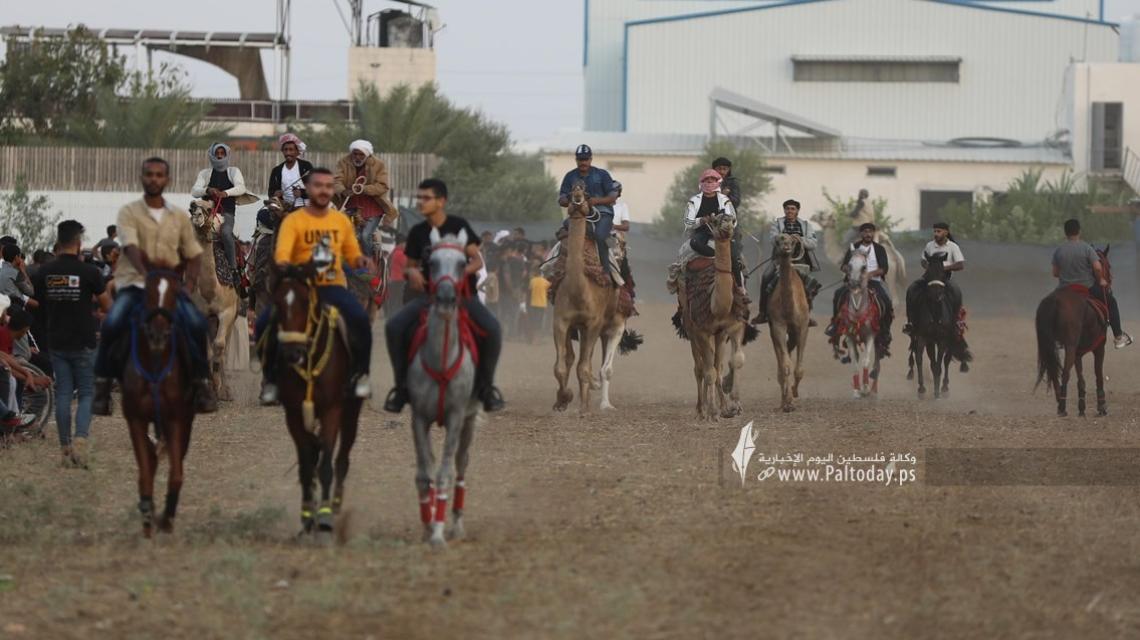 بالصور:هواة ينظمون سباق للخيول والجمال وسط قطاع غزة