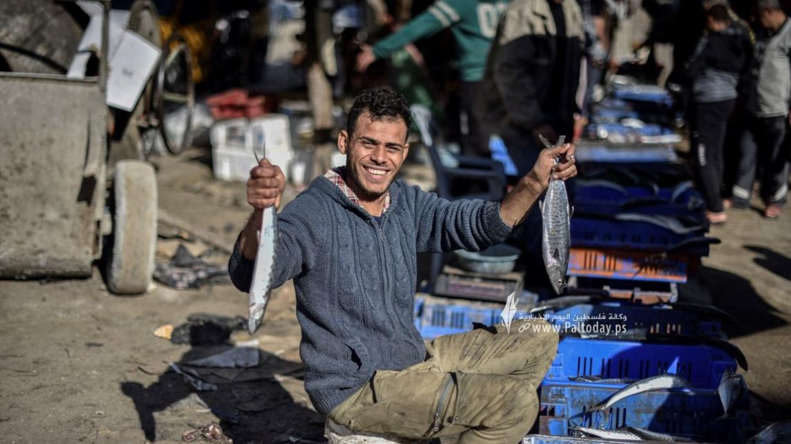 وفرة الأسماك بعد المنخفض تهوي بأسعارها في غزة
