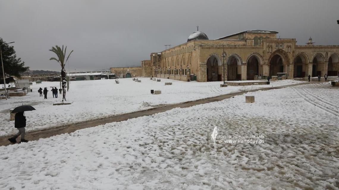 بالصور:القدس - الثلوج تكسو باحات المسجد الأقصى المبارك