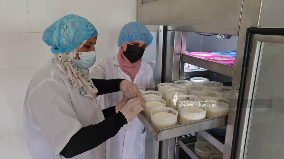 بالصور: سيدات من جنوب قطاع غزة يصنعن الأجبان لتحسين وضعهن المعيشي وإعالة أسرهن