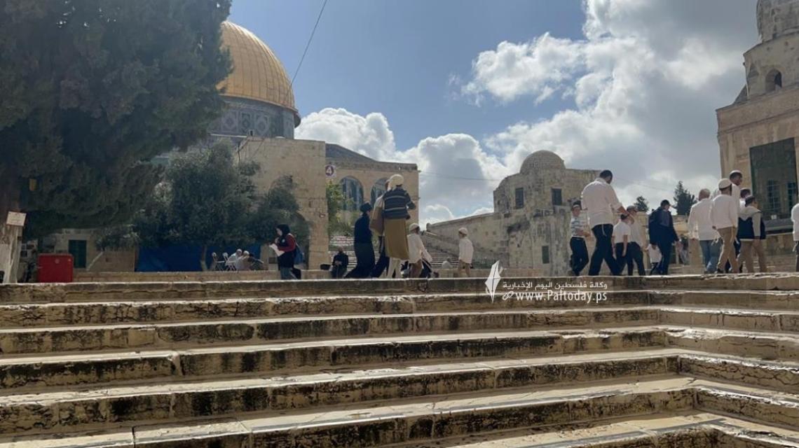 بالصور: القدس - لليوم الرابع: نحو 1180 مستوطنا يقتحمون "الأقصى" والاحتلال يعتقل مواطنا ويصيب 3 آخرين